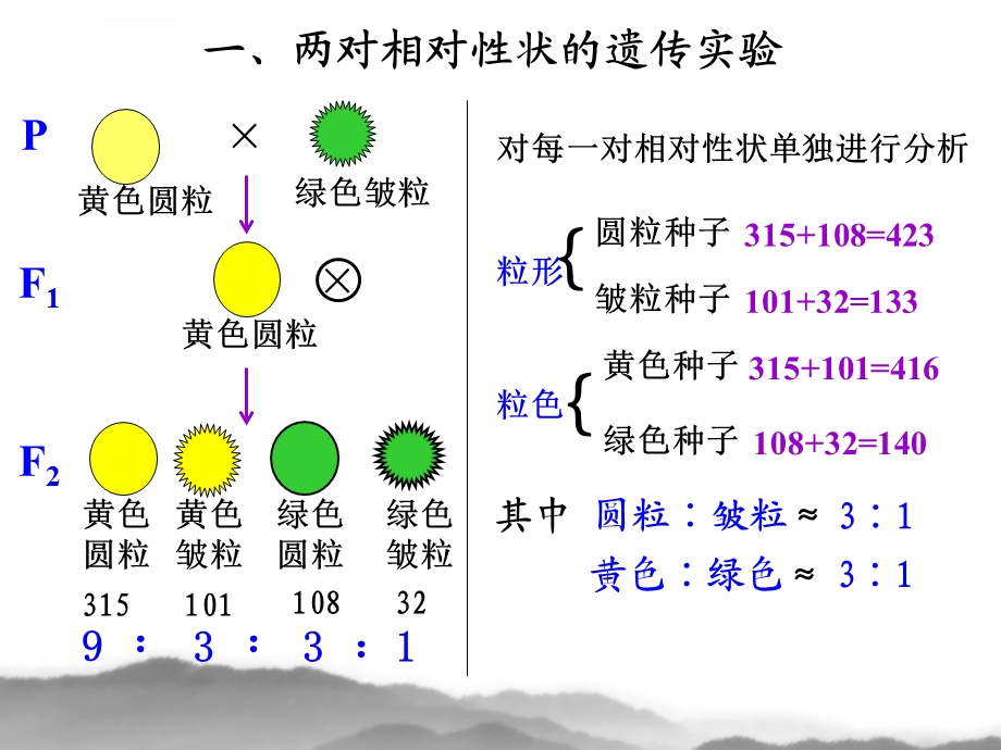 孟德尔的豌豆杂交实验（二）ppt课件.ppt_第3页