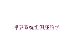 呼吸系统组织胚胎学培训课件.ppt