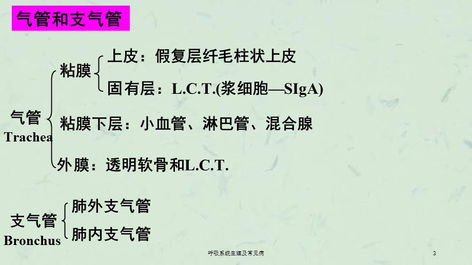 呼吸系统生理及常见病课件.ppt_第3页