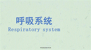 呼吸系统生理及常见病课件.ppt