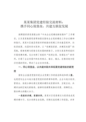 某某集团党建经验交流材料：携手同心筑堡垒共建互联促发展.docx