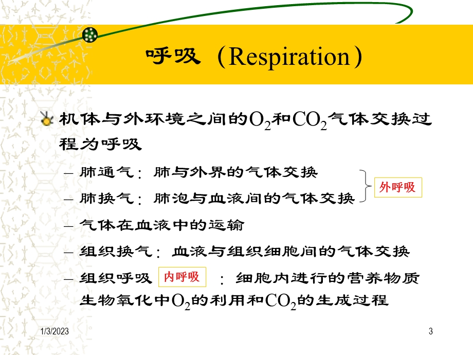 呼吸毒理课件.ppt_第3页