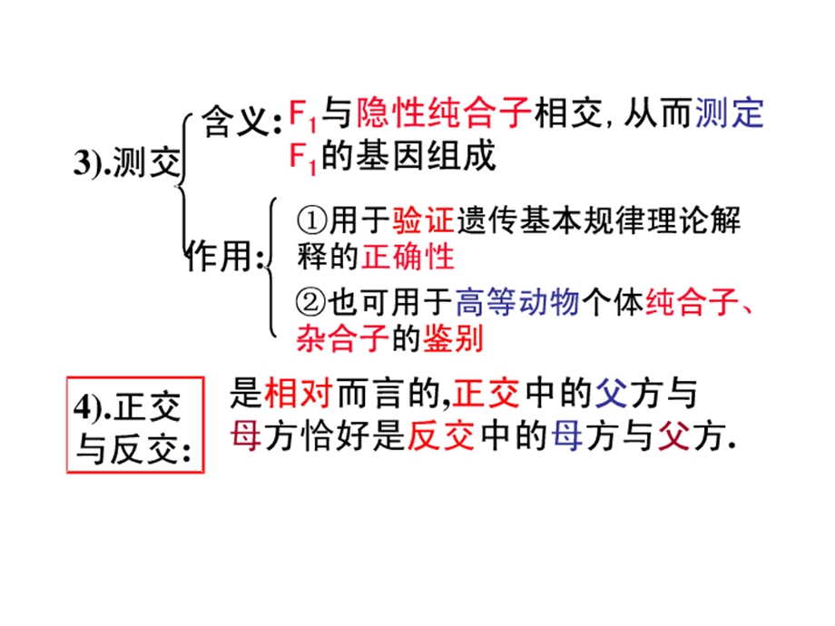 孟德尔定律相关计算ppt课件.ppt_第3页