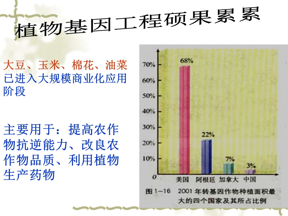 基因工程的应用课件.ppt_第3页