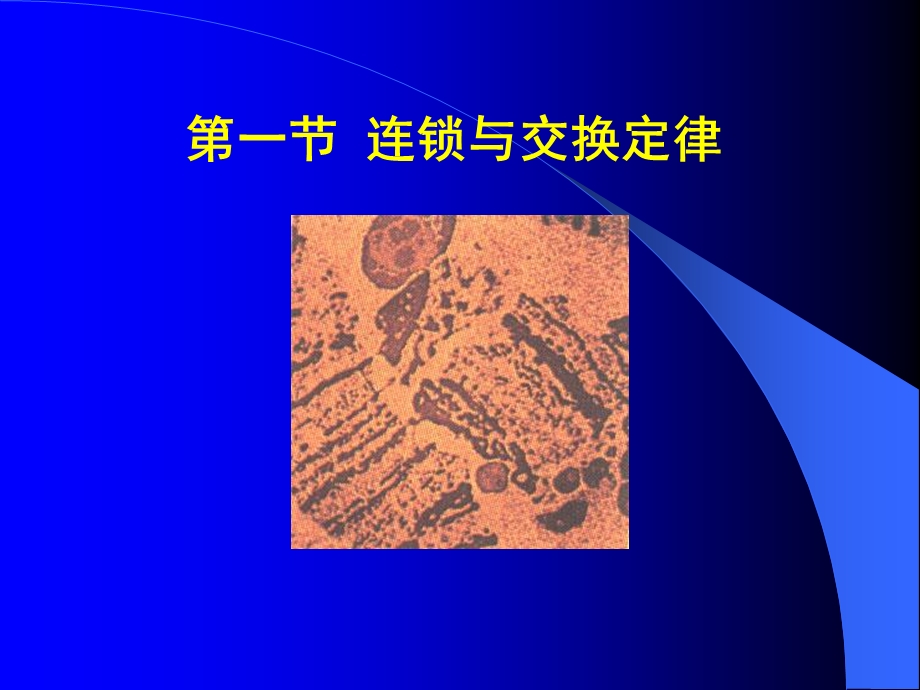 四章遗传分析染色体作图课件.ppt_第2页