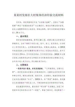 某某村发展壮大村集体经济经验交流材料.docx