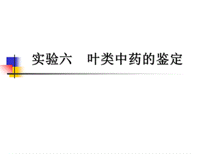 实验六叶类中药的鉴定ppt课件.ppt