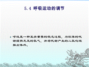 呼吸科呼吸系统课件8综述.ppt