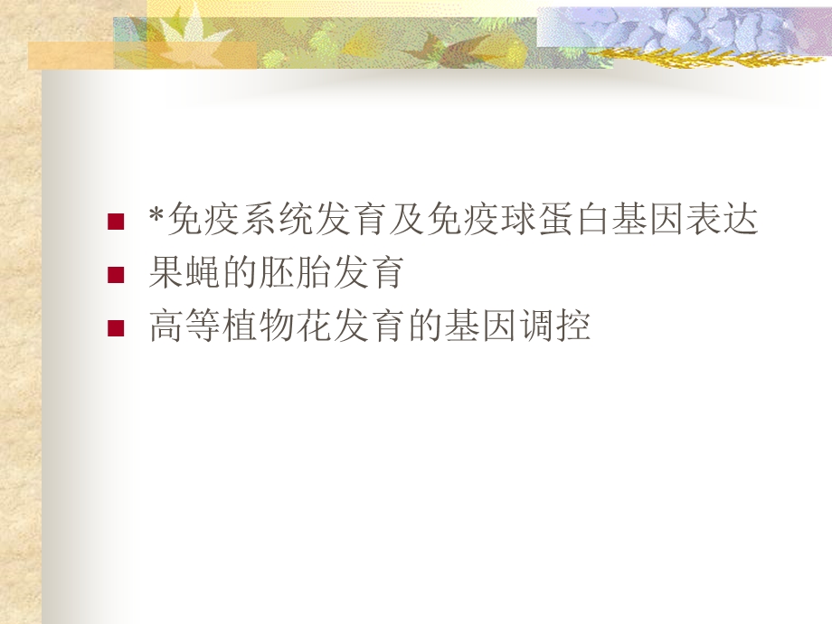 基因与发育课件.ppt_第2页