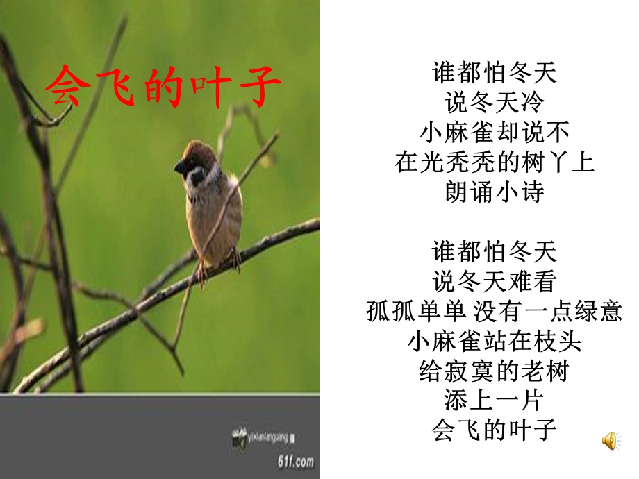 如果我是一片雪花晨诵ppt课件.ppt_第3页