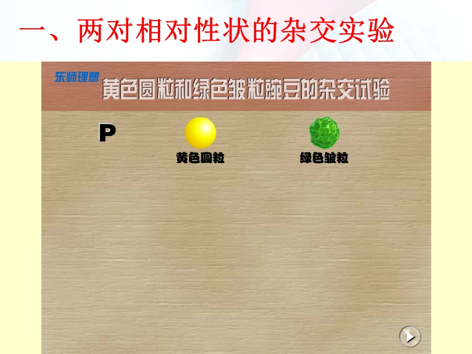 基因自由组合定律完整ppt课件.ppt_第3页