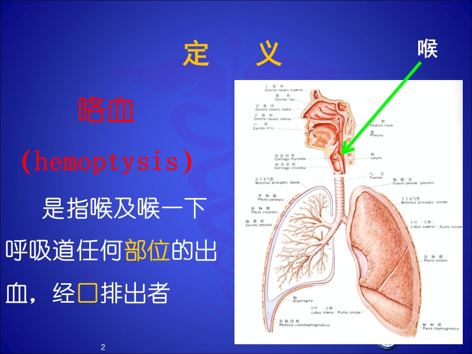 咯血诊断学精选课件.ppt_第2页