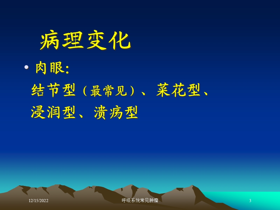 呼吸系统常见肿瘤培训课件.ppt_第3页