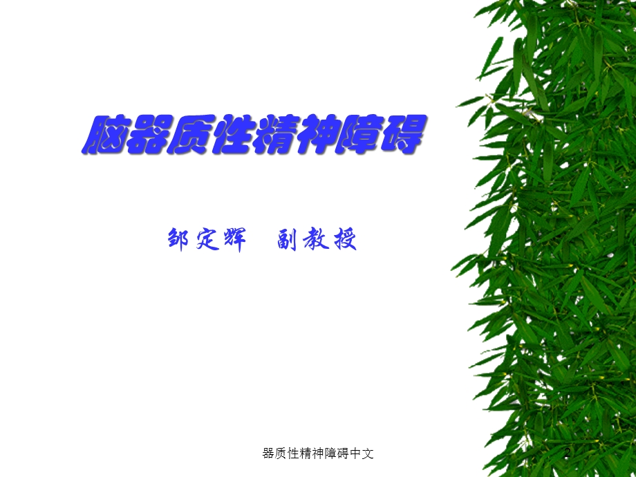 器质性精神障碍中文培训课件.ppt_第2页