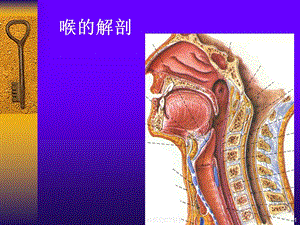 喉部的CT解剖课件.ppt