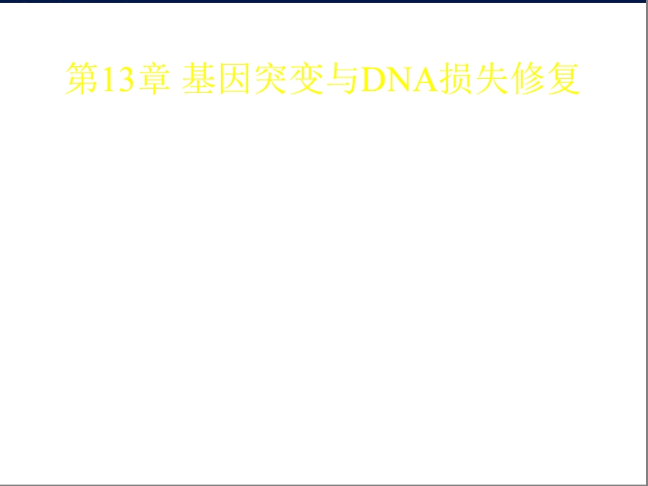 基因突变与DNA损失修复课件.ppt_第1页