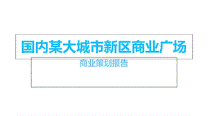 国内某大城市新区商业广场商业策划报告课件.ppt