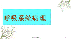 呼吸病理学教研室课件.ppt