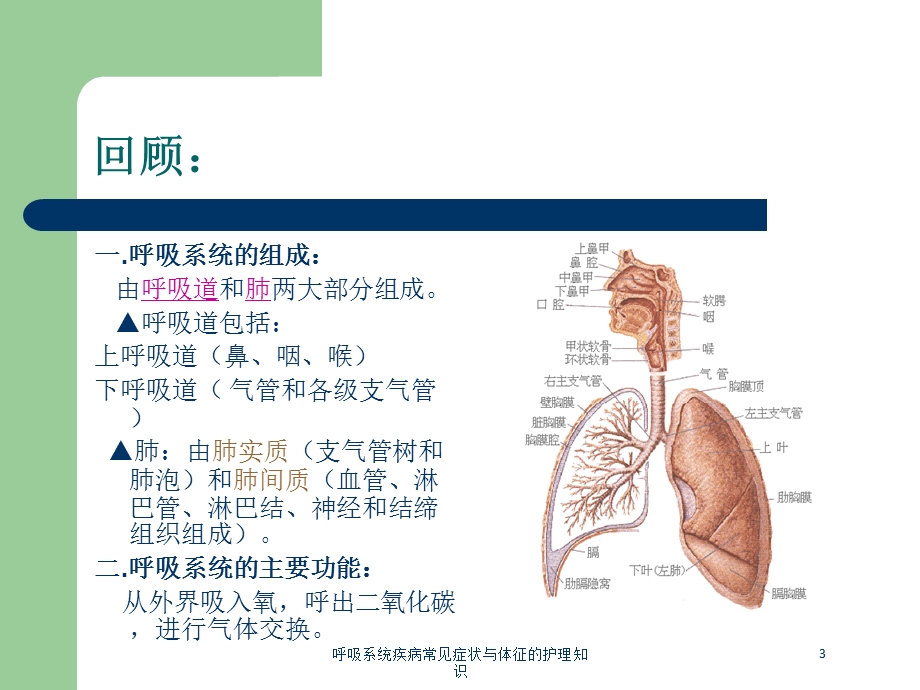 呼吸系统疾病常见症状与体征的护理知识培训课件.ppt_第3页