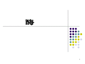 大学生物化学酶ppt课件.ppt