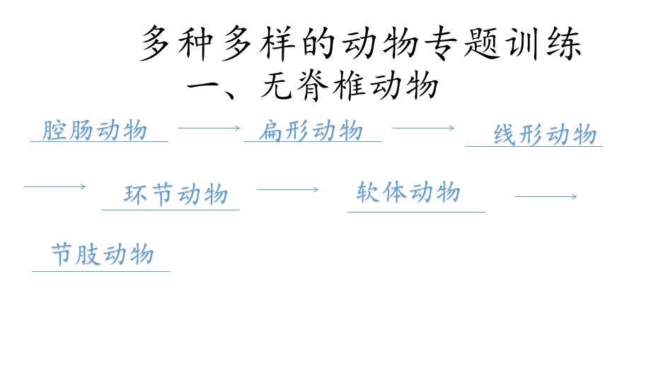 多种多样的动物专题训练ppt课件.pptx_第1页