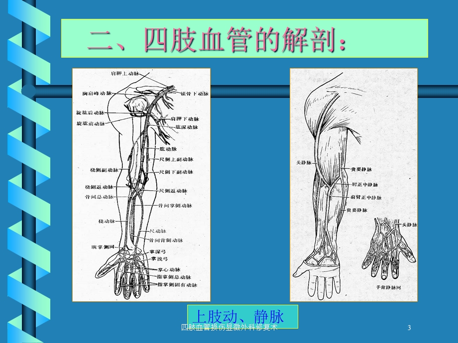 四肢血管损伤显微外科修复术培训课件.ppt_第3页