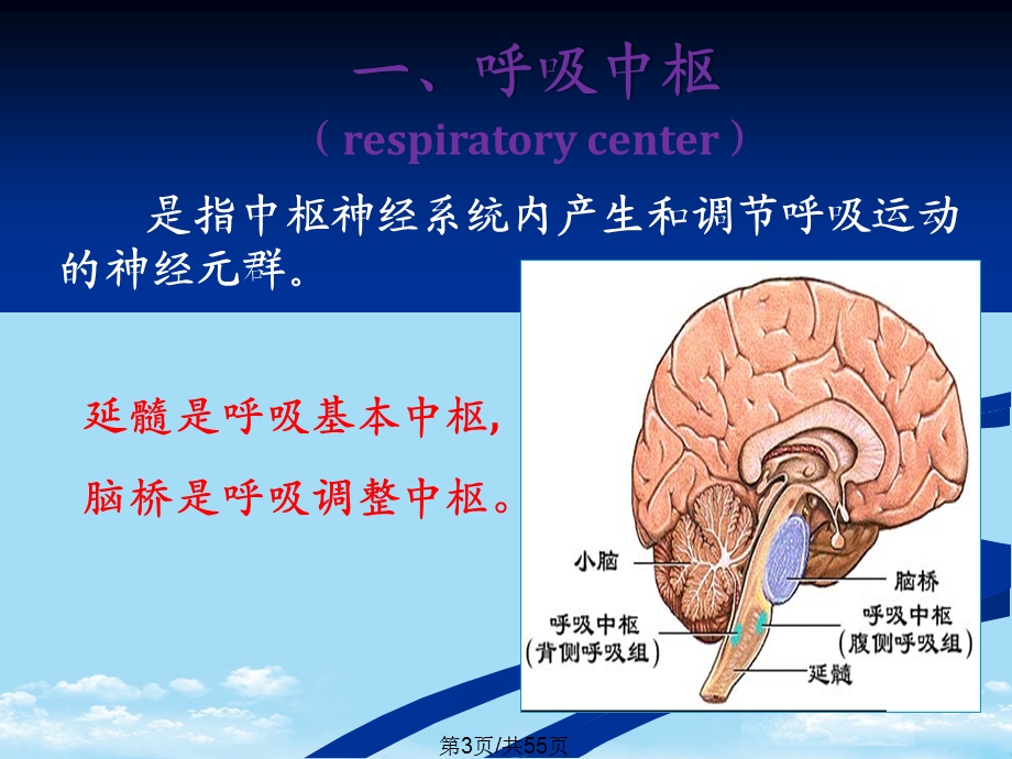 呼吸调节全面版课件.pptx_第3页