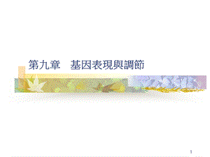 基因表现与调节解读课件.ppt