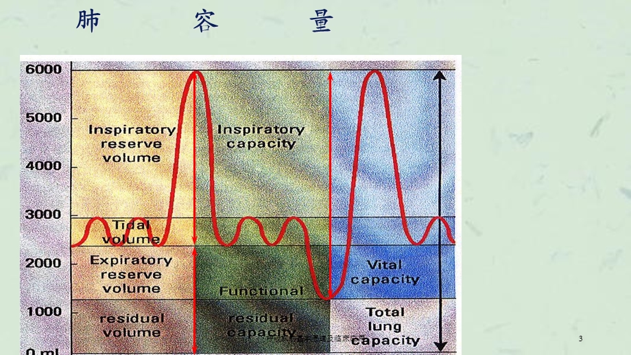 呼吸机的基本原理及临床应用课件.ppt_第3页