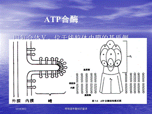 呼吸链专题知识宣讲培训课件.ppt