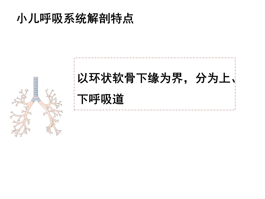 呼吸系统总论、急性上呼吸道感染、急性支气管炎课件.ppt_第3页