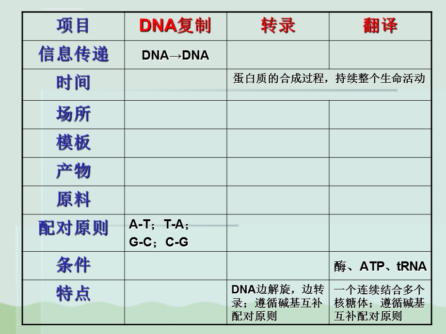 基因指导蛋白质的合成复习课PPT课件全解人教课标版.ppt_第3页