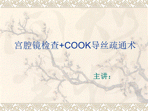 培训宫腔镜检查cook导丝课件.ppt