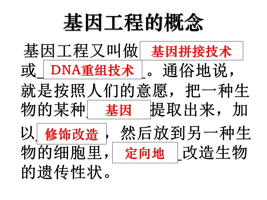 基因工程基本工具ppt课件.ppt_第3页