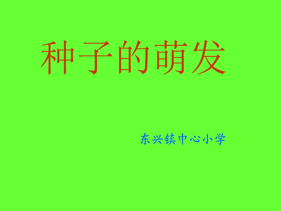 四年级科学下册种子的萌发ppt课件.ppt_第1页