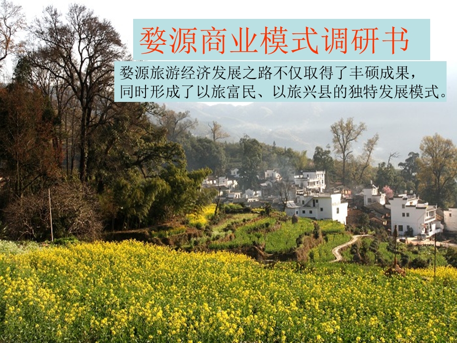 婺源旅游商业模式市场调研ppt课件.ppt_第1页