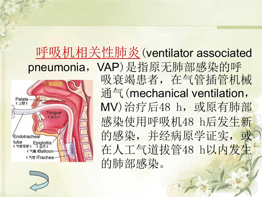 呼吸机相关性肺炎的预防及护理课件.ppt_第3页