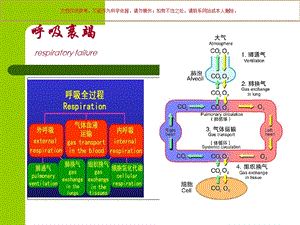 呼吸衰竭医学知识课件.ppt