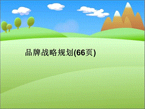 品牌战略规划(66张)课件.ppt