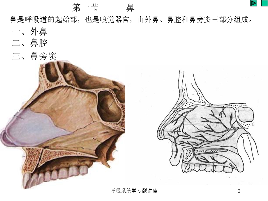 呼吸系统学专题讲座培训课件.ppt_第2页