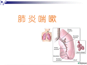 四节肺炎喘嗽课件.pptx