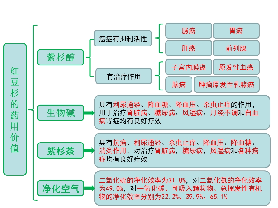 培训红豆杉项目说明1课件.ppt_第3页