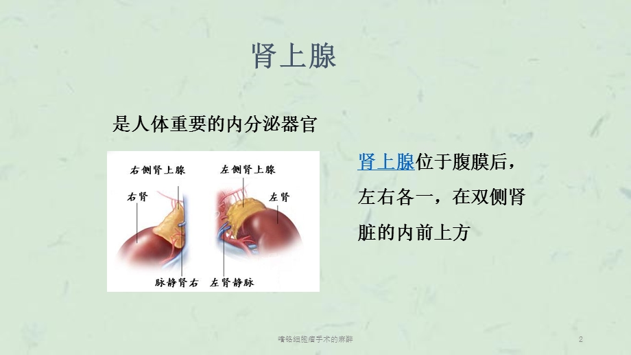 嗜铬细胞瘤手术的麻醉课件.ppt_第2页