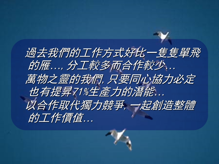 大雁给你的启示ppt课件.ppt_第3页