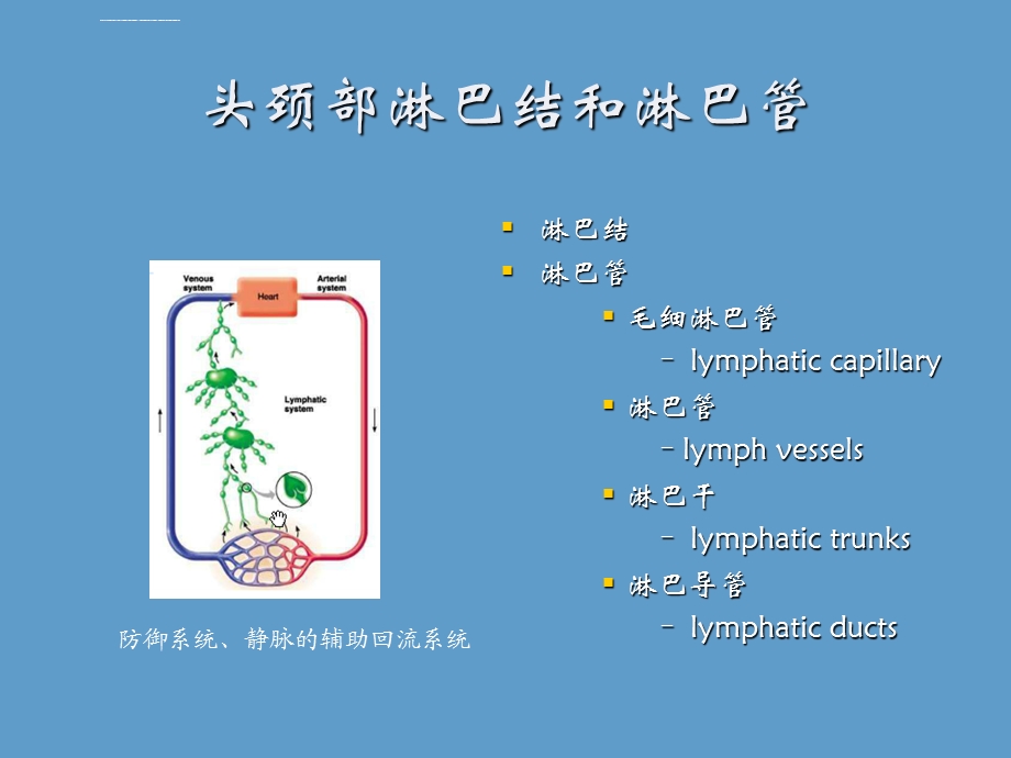 头颈部淋巴结和淋巴管ppt课件.ppt_第2页