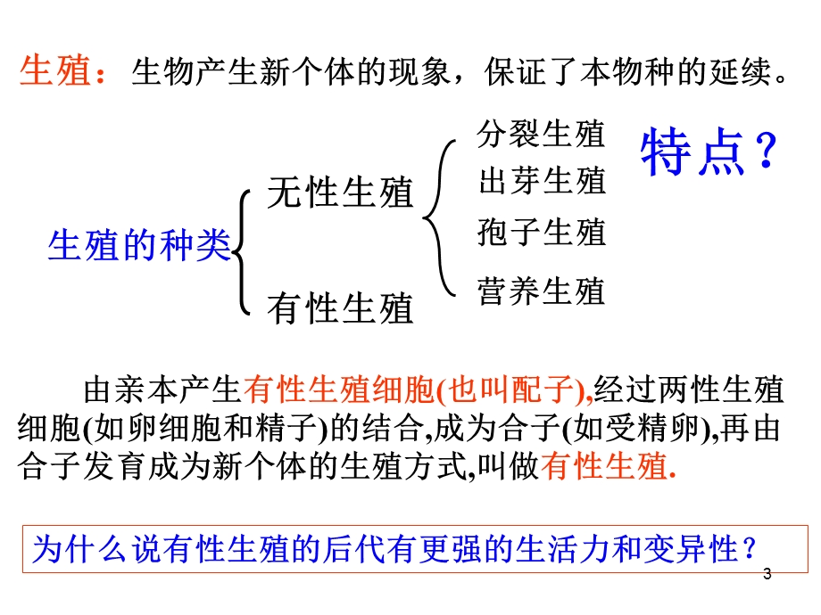 基因和染色体的关系课件.ppt_第3页