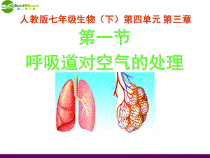 呼吸道对空气的处理人教新课标版ppt课件.ppt