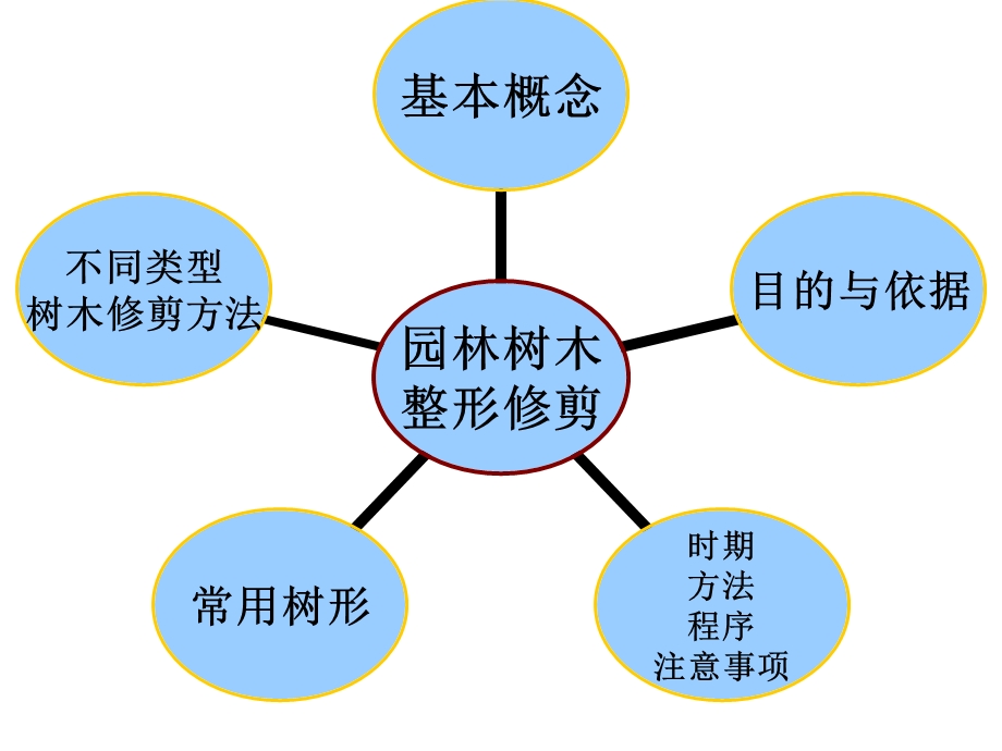 园林树木整形修剪理论与方法ppt课件.ppt_第2页