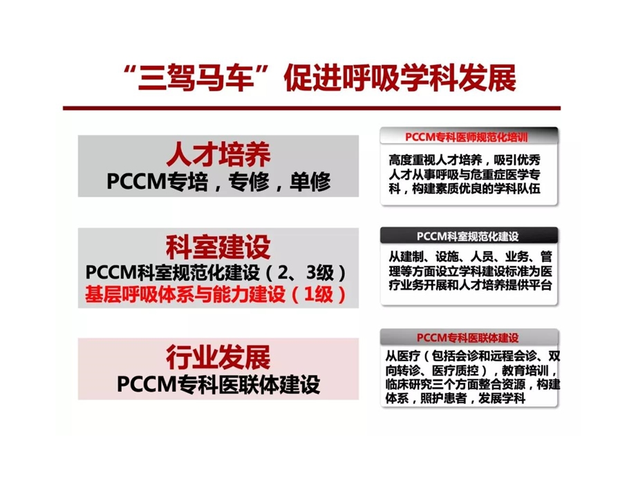 基层医疗机构呼吸疾病规范化防诊治体系与能力建设项目标准解读和评估路径(不可编辑)课件.pptx_第2页