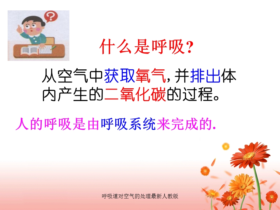 呼吸道对空气的处理人教版课件.ppt_第3页